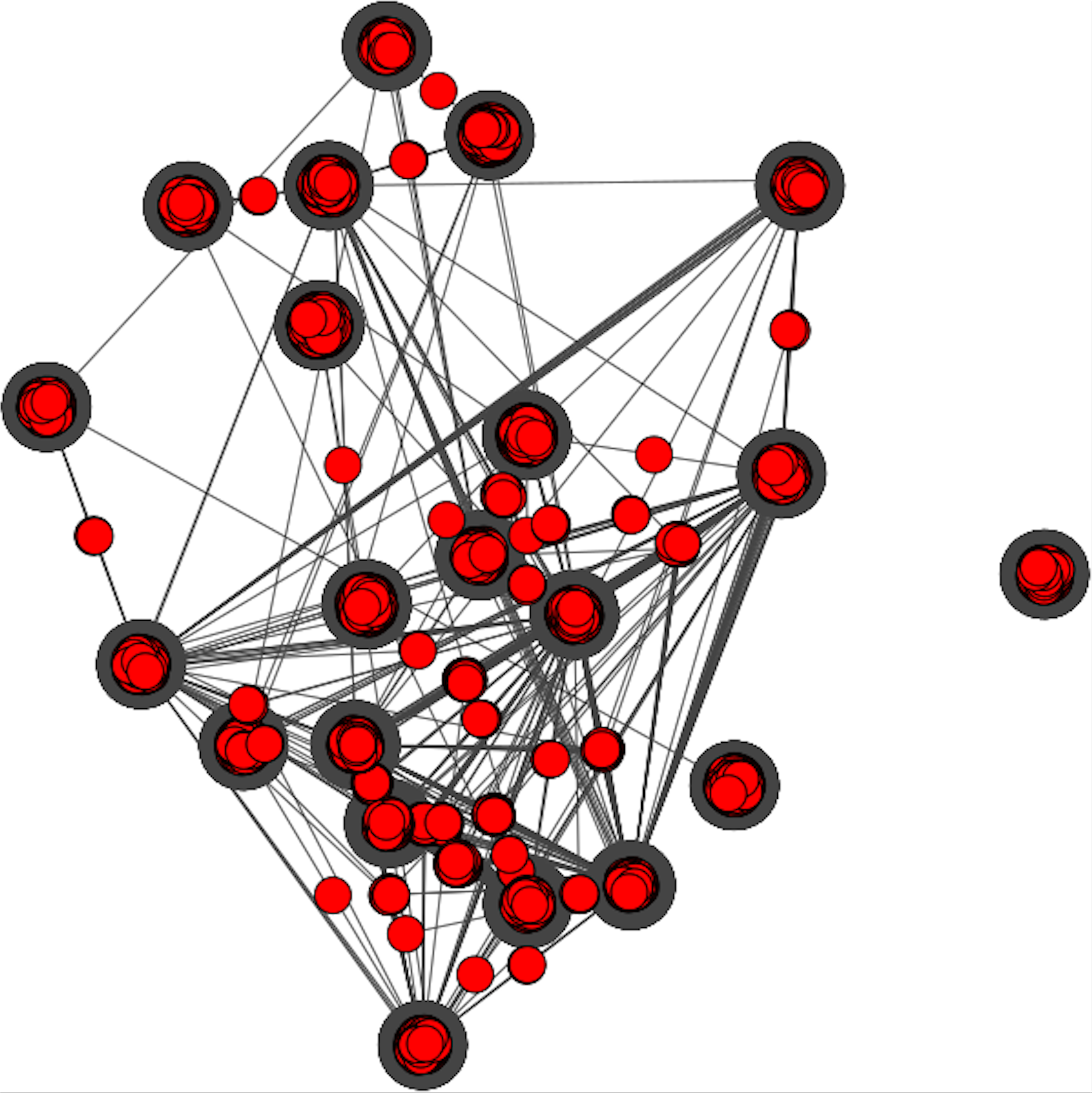 A visualization of a citation network. The nodes are marked in red with edges drawn between nodes if they are connected through direct citation.